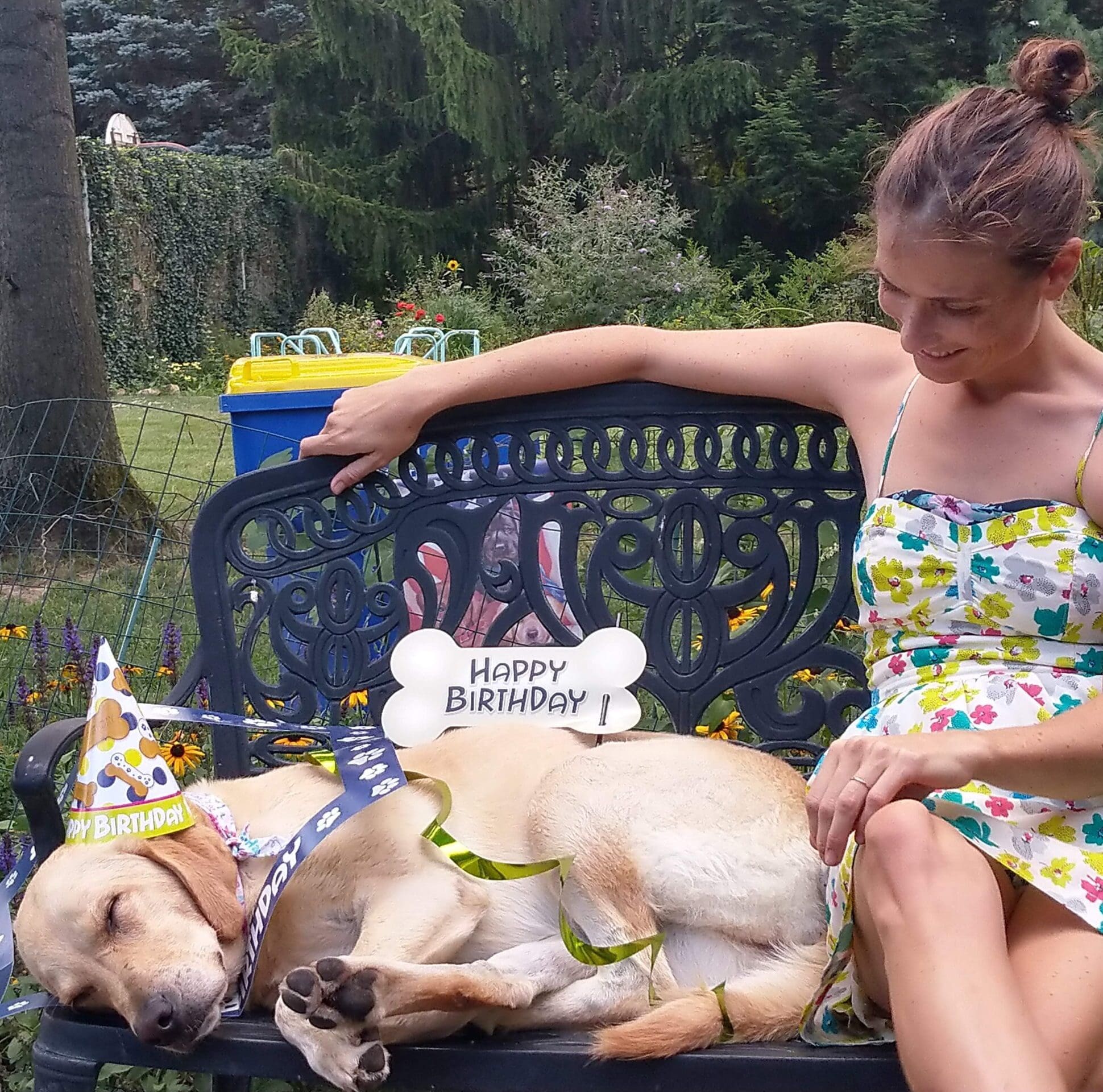 Happy Birthday Dog Walking Pet Sitting Dog Walking Pet Sitting Local Help